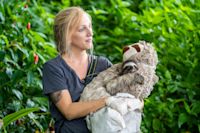 The Sloth Way of Life - B/O - HERO