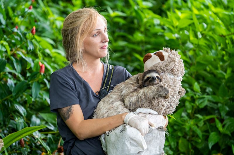 The Sloth Way of Life - B/O - HERO