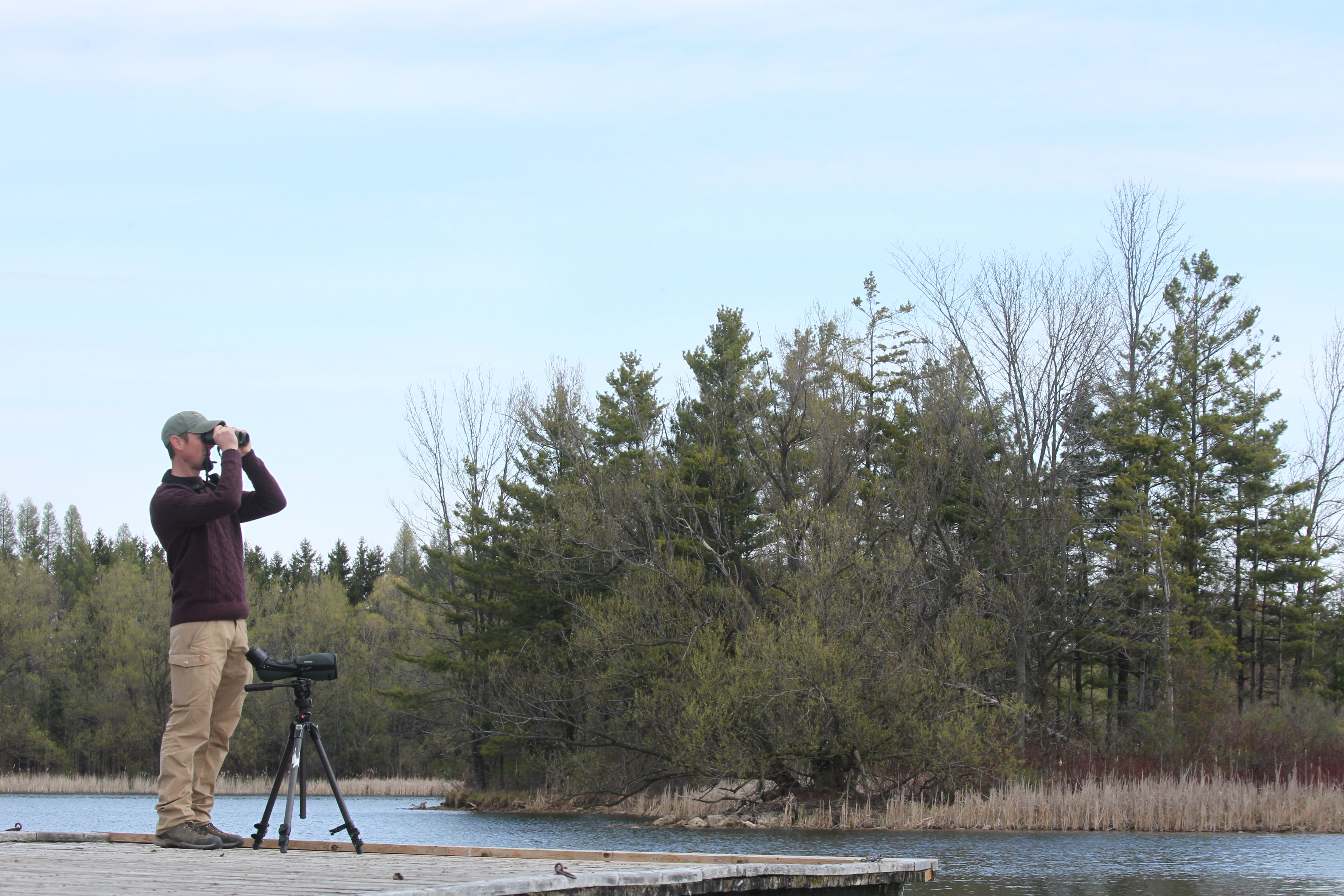 NL Pure James Lees Lake Birding