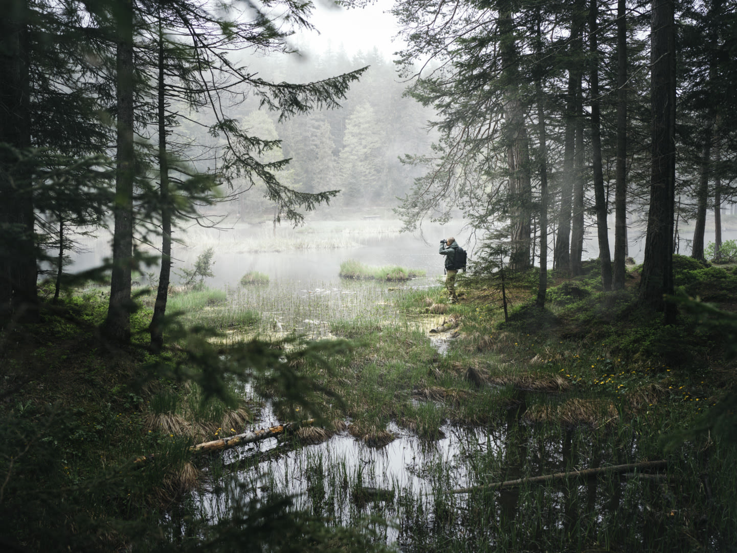 Wood and lake in autum with woman NL Pure