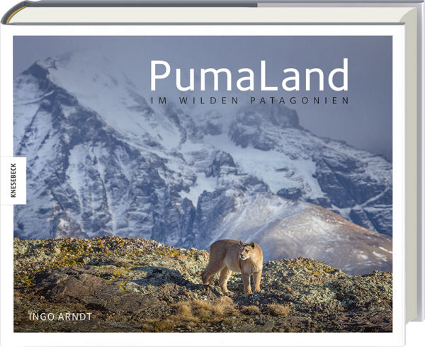 Graphic Book title Puma Land