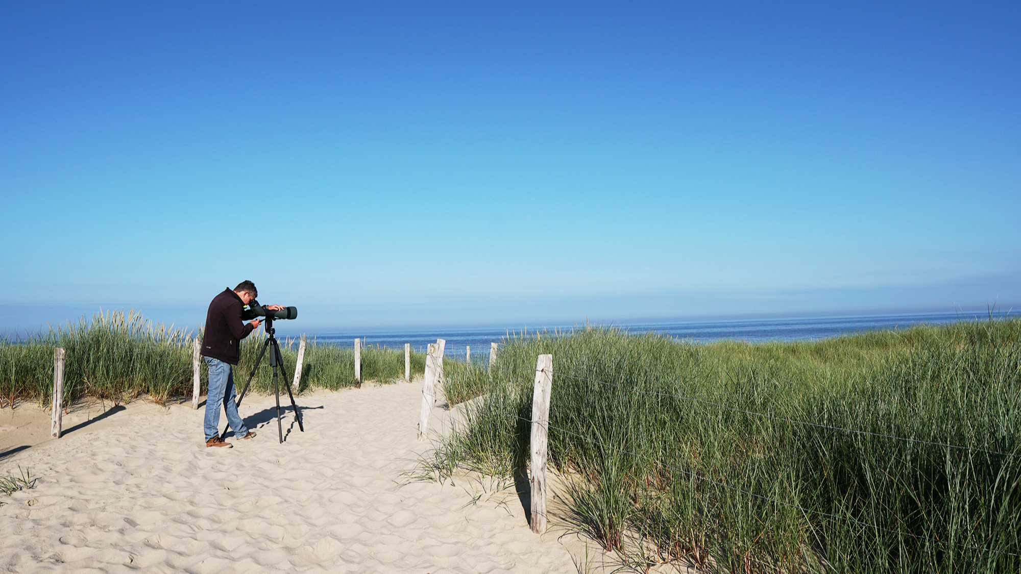 A joint adventure: Mark and Nils seawatching with the 115-mm objective module B/