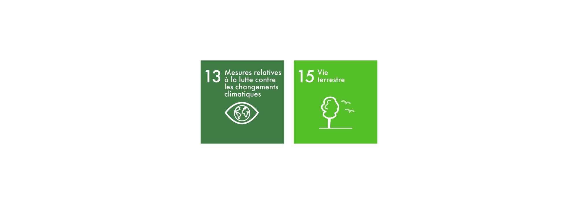 Sustainable Development Goals 13-15 FR