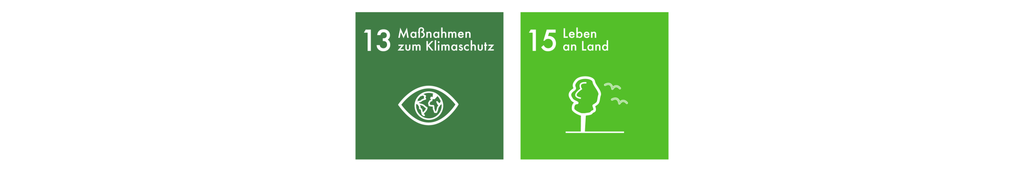 Sustainable Development Goals 13-15 DE
