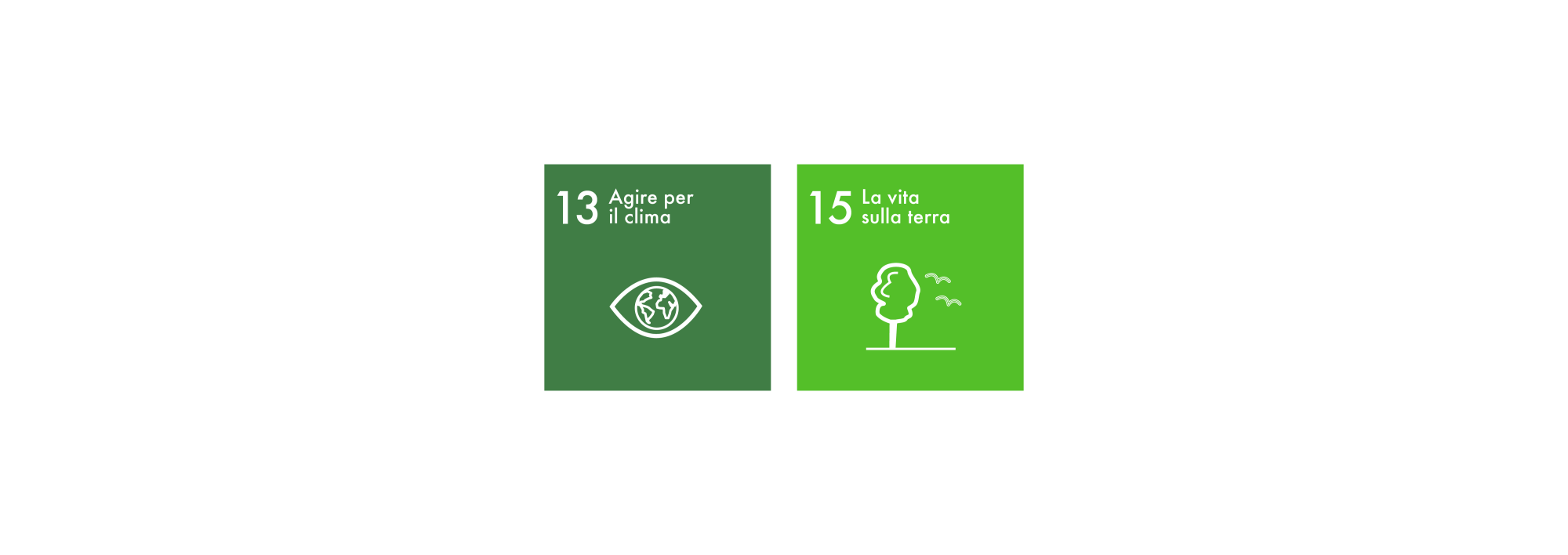 Sustainable Development Goals 13-15 IT