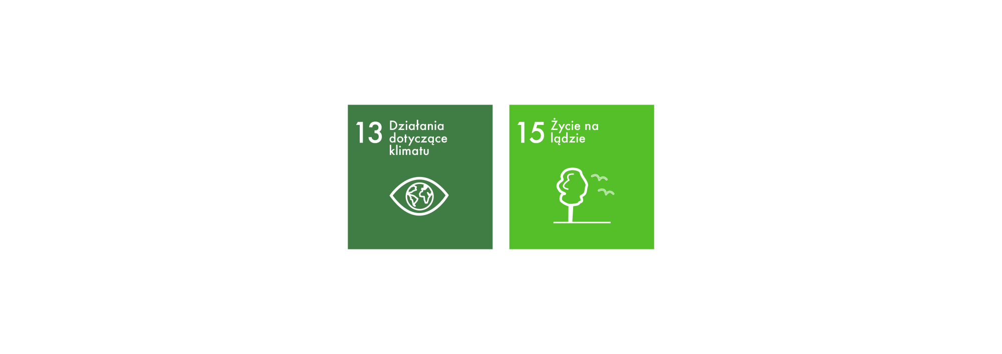 Sustainable Development Goals 13-15 PL