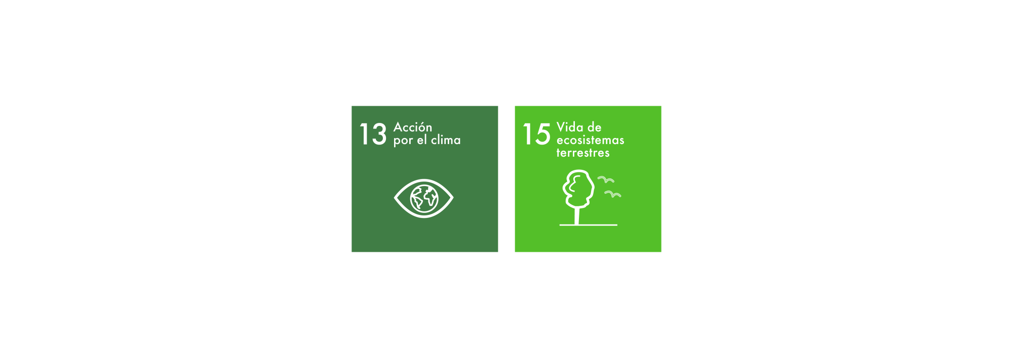 Sustainable Development Goals 13-15 ES
