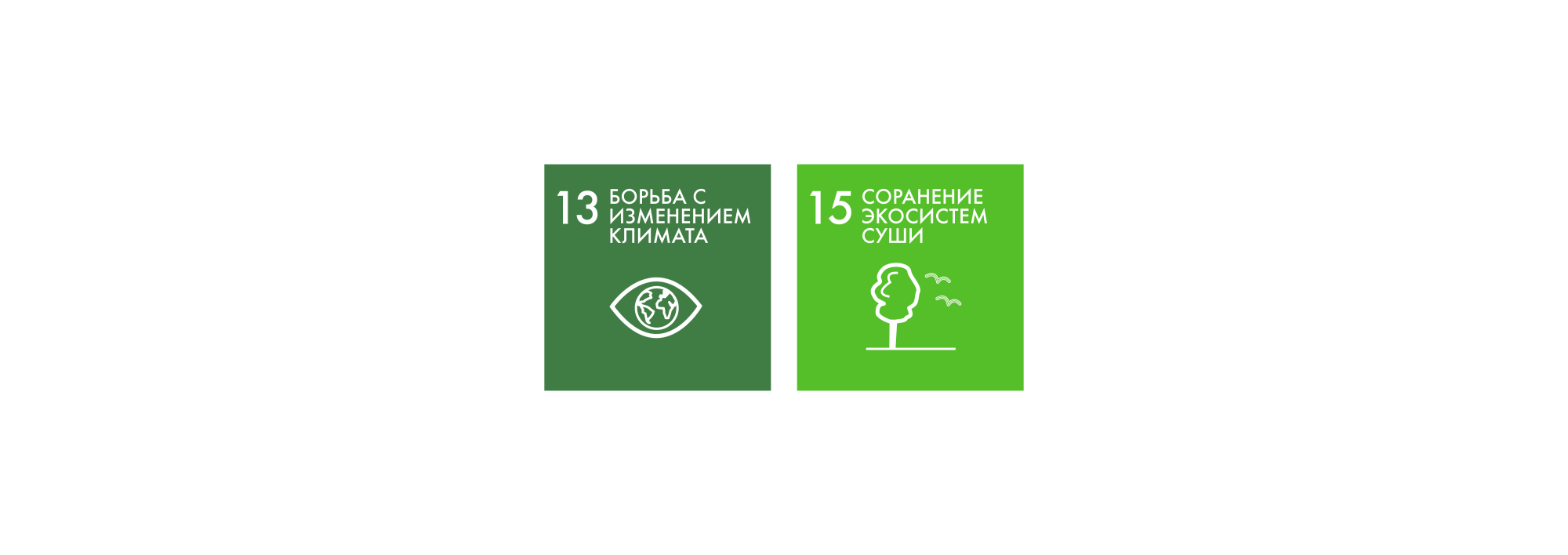 Sustainable Development Goals 13-15 RU