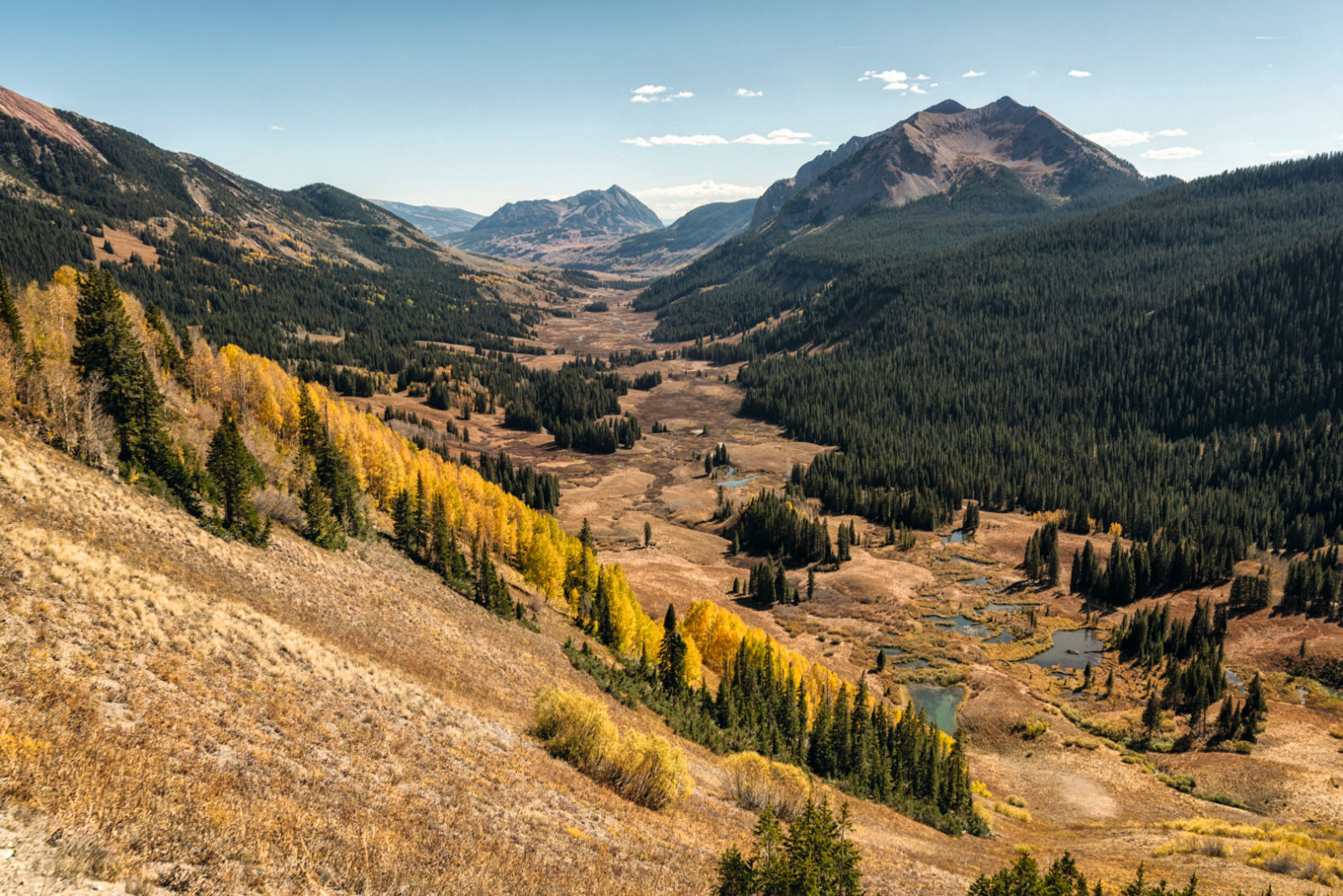 CLOSER 2023: Horseback Riding Colorado