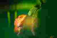 K25 mauritius images 13465353 CMYK verl