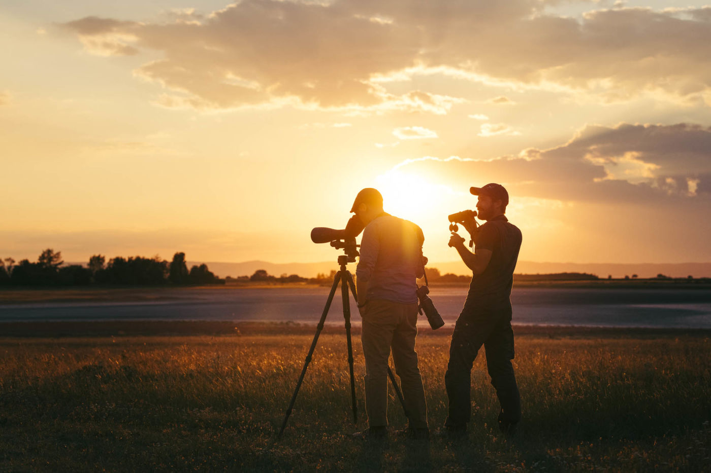 BTX Birding Lake Neusiedl landscape Willow Khil