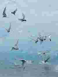 Autumn Campaign 09/2025 - B/O - HERO Image