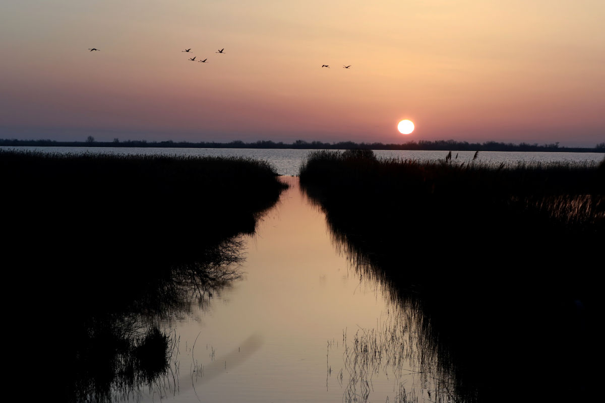 !!!Birding with Frederic Lamouroux - sunset landscape
