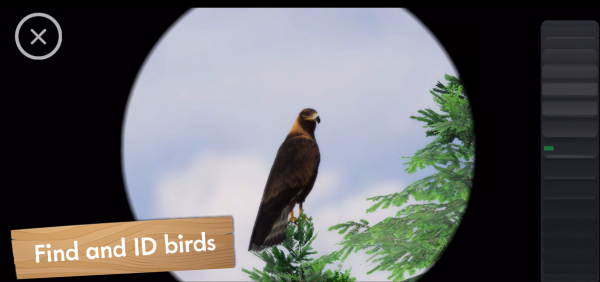  Warbler - Birding App - World of Wings - Interview Landon Christensen/ B