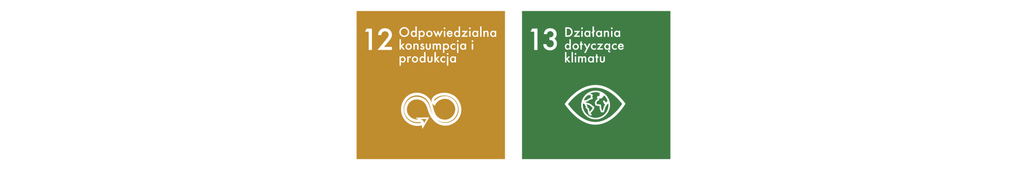Sustainable Development Goals 12-13 PL