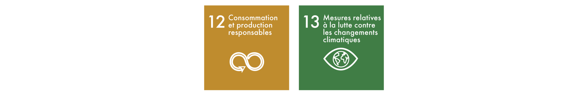 Sustainable Development Goals 12-13 FR