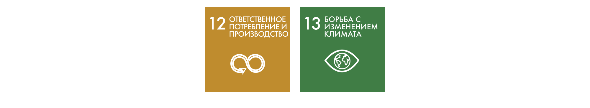 Sustainable Development Goals 12-13 RU