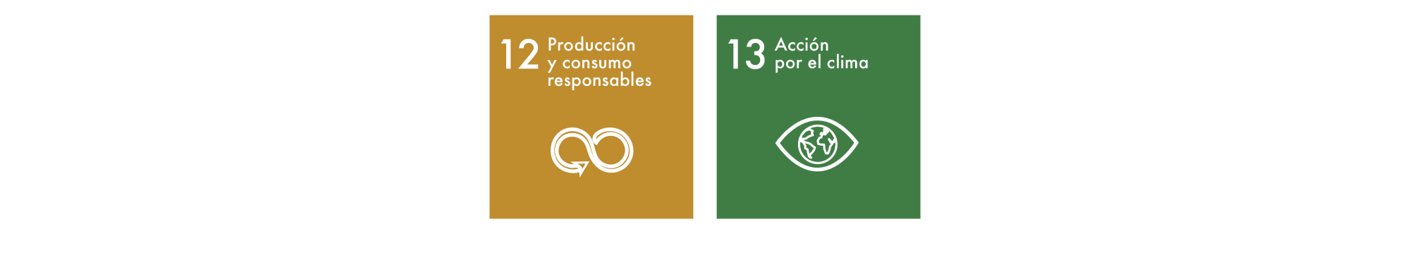 Sustainable Development Goals 12-13 ES
