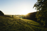 Open field in sunrise landscape