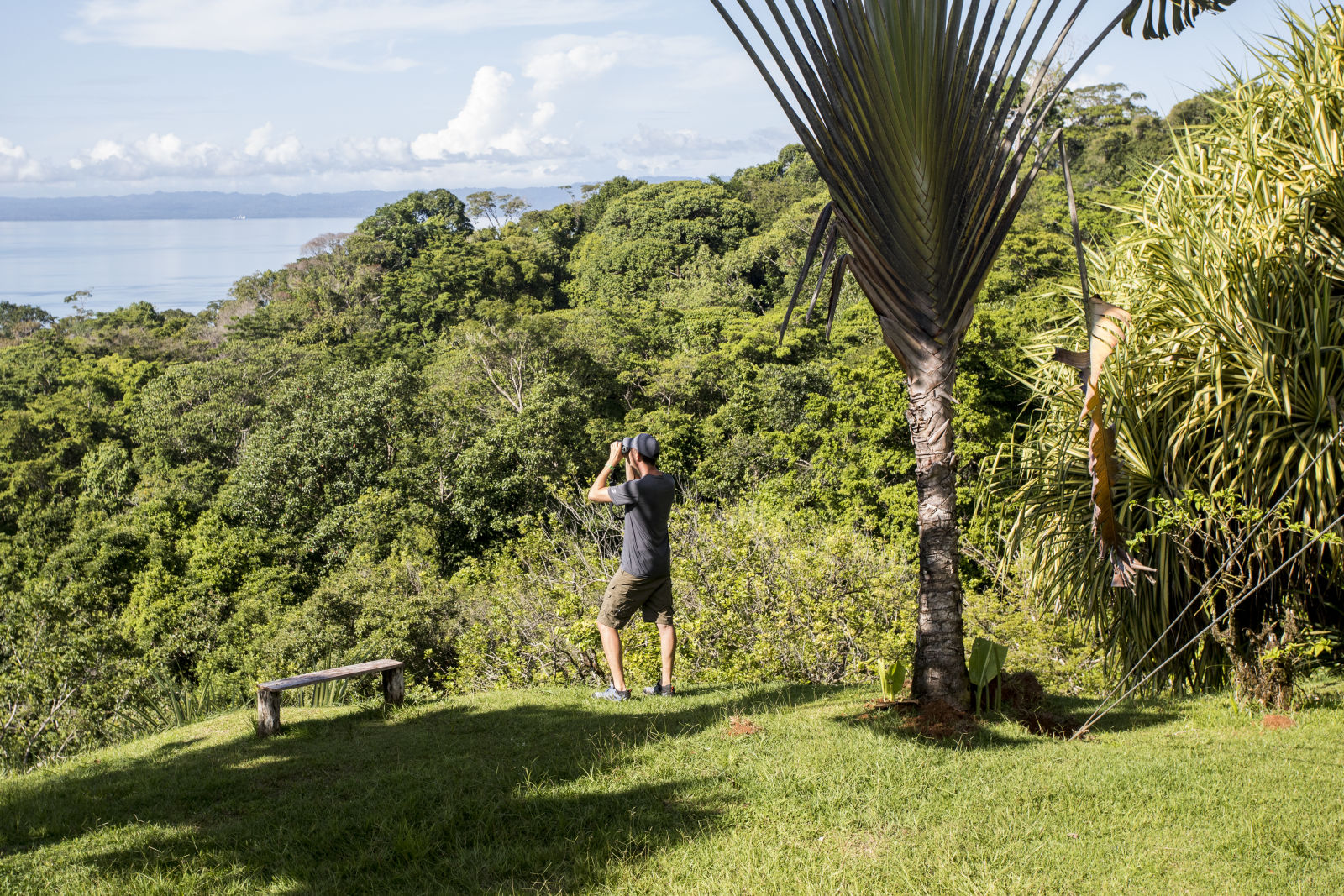 Prismáticos Grandes  Accesorios para parques de jardín