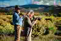 AT/ST Balance - Birding new