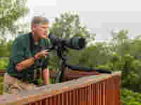 The 115-mm objective module in Texas 1/3 – birding at Hazel Bazemore Park - Capturing the first rays of light – the 115-mm objective module Clay Taylor 