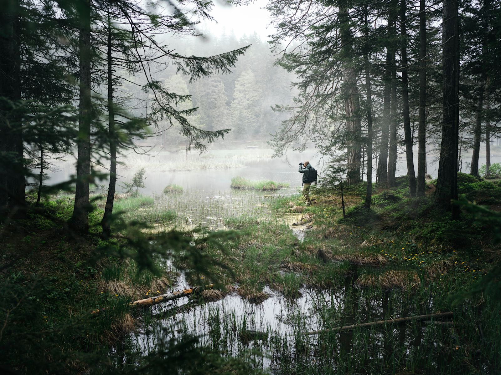 SEEING AND PRESERVING PRECIOUS MOMENTS SEE THE UNSEEN