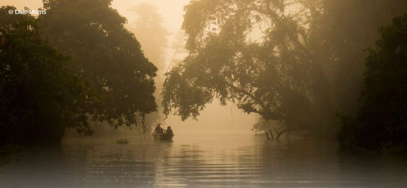 Borneo photography tour ORXY