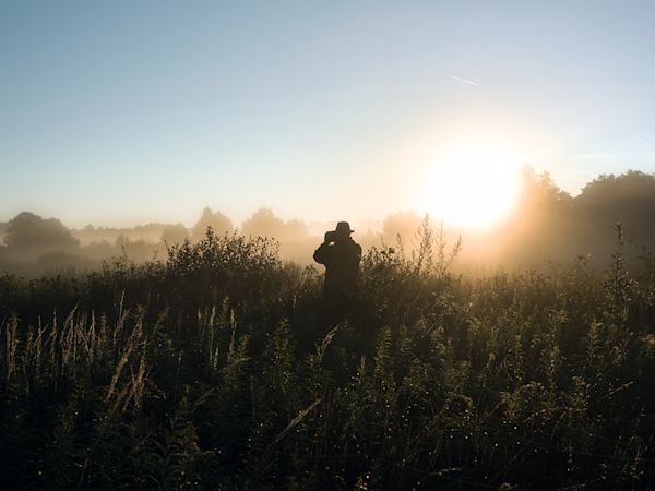 In the beginning there was the light. Light is essential for the survival of humans, animals, and plants.