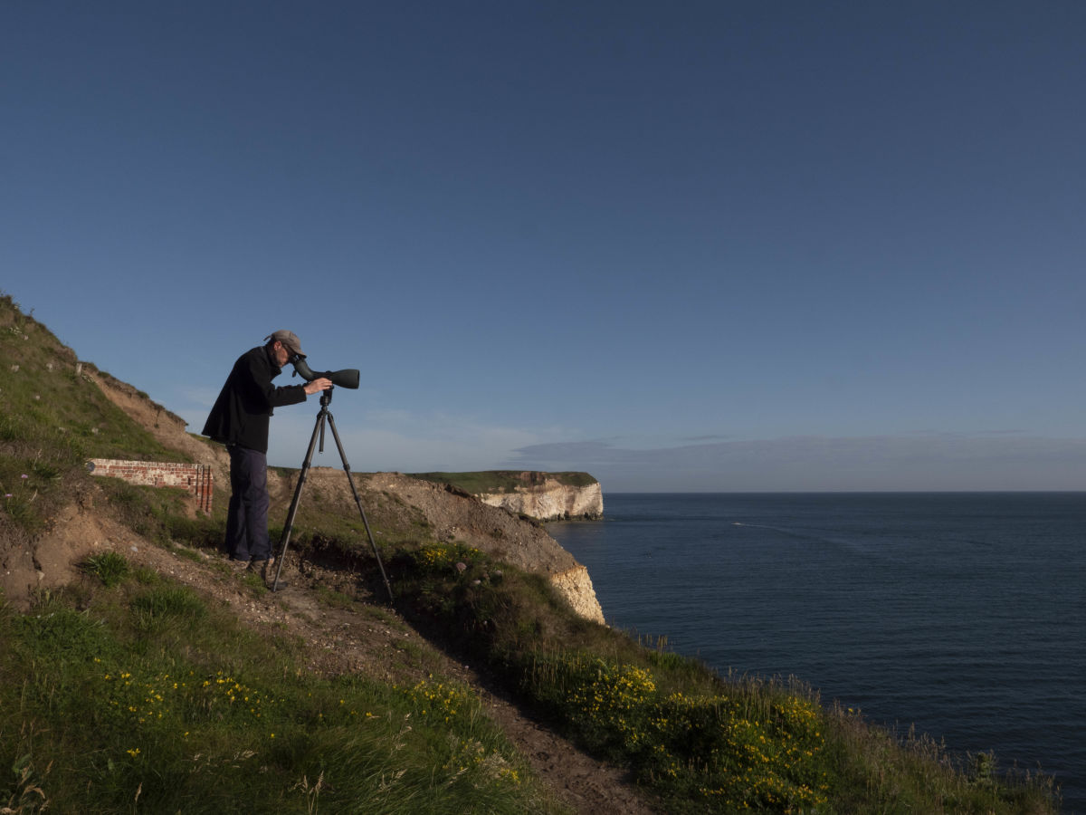 A Black-browed Albatross at RSPB Bempton Cliffs: Craig Thomas testing the 115 objective module.