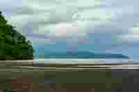 Lilly’s Journey into the Heart of the Forest - B/O