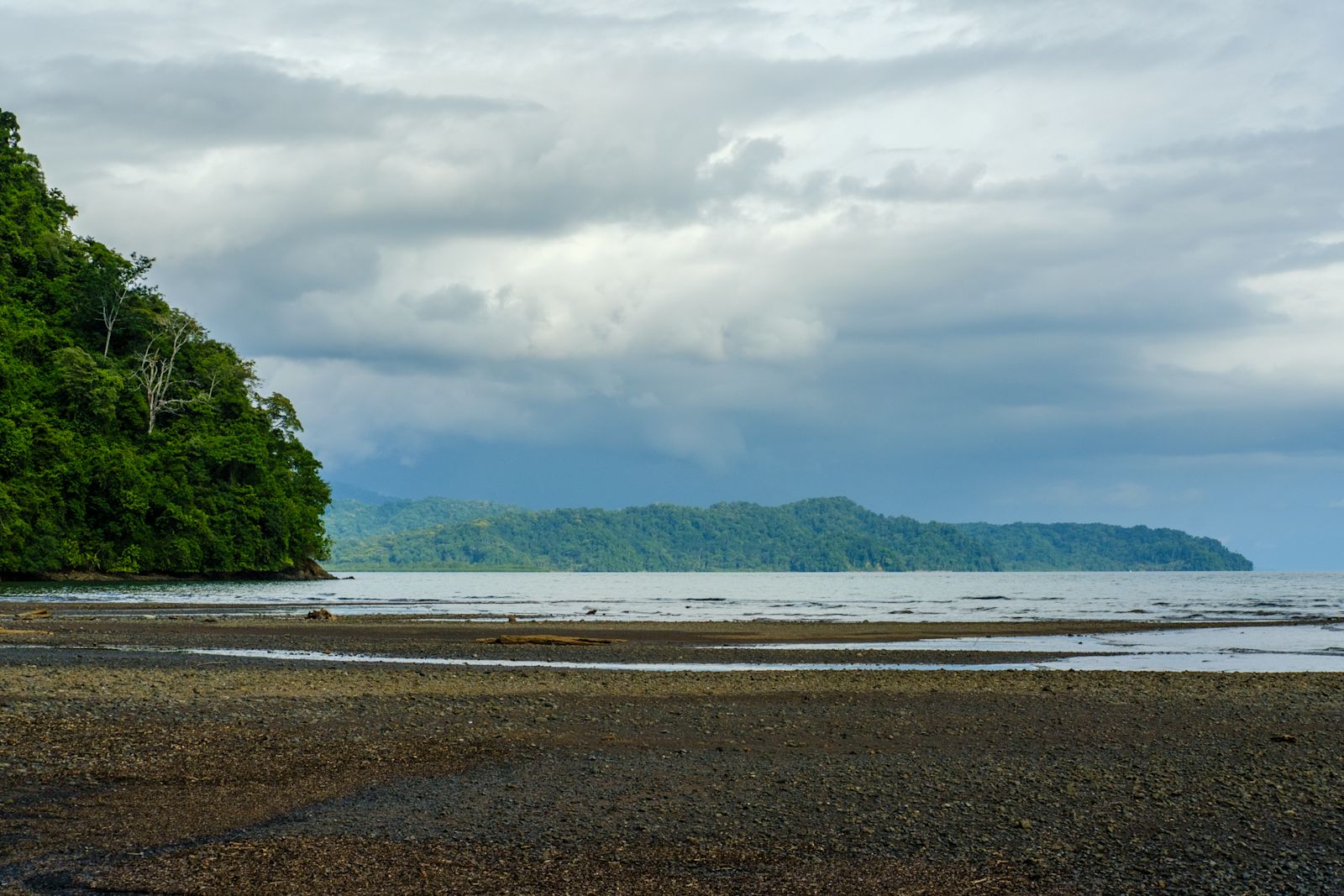 Lilly’s Journey into the Heart of the Forest - B/O