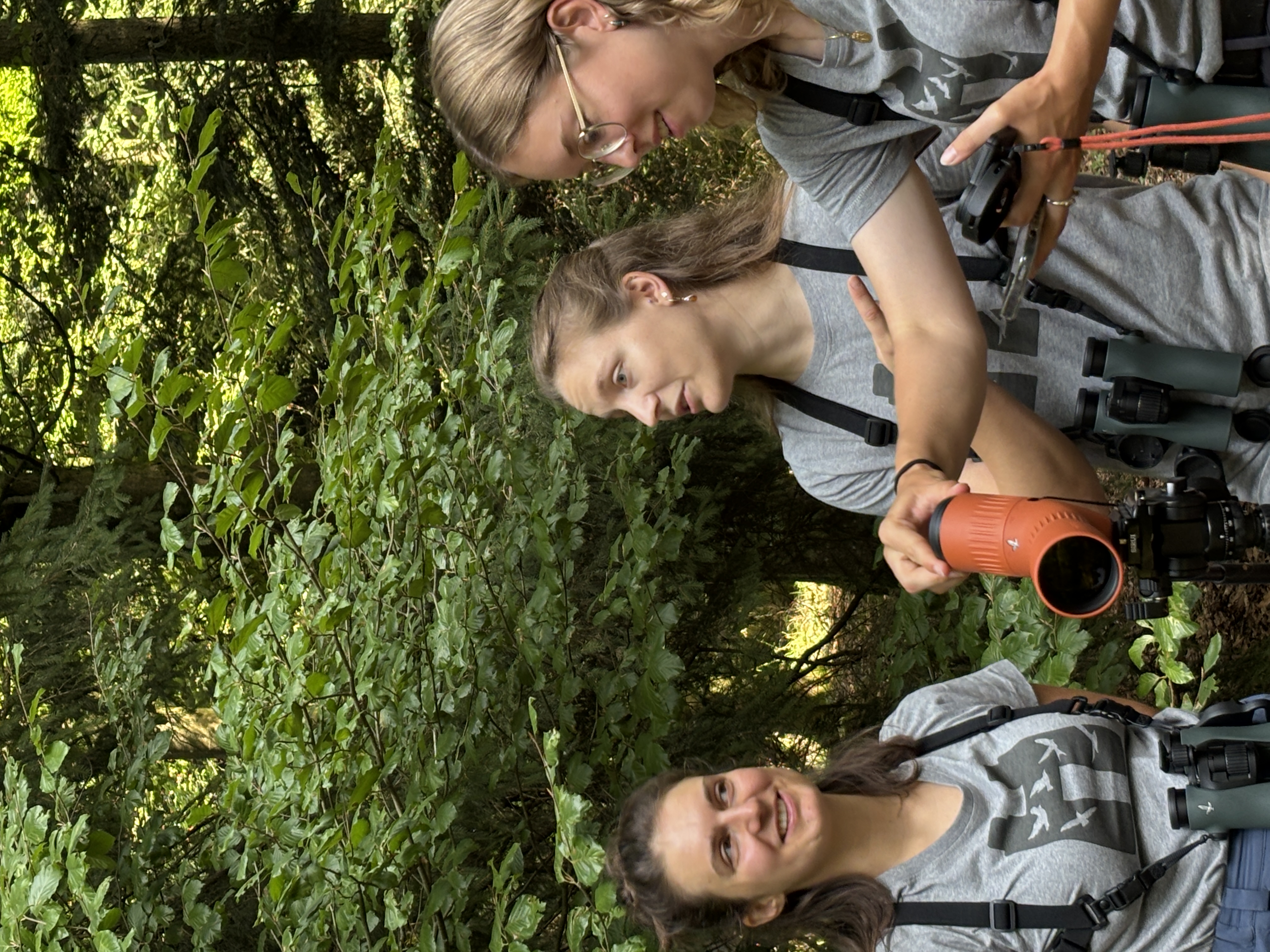 Birdrace CH 2025 – Swiss female birding team /B