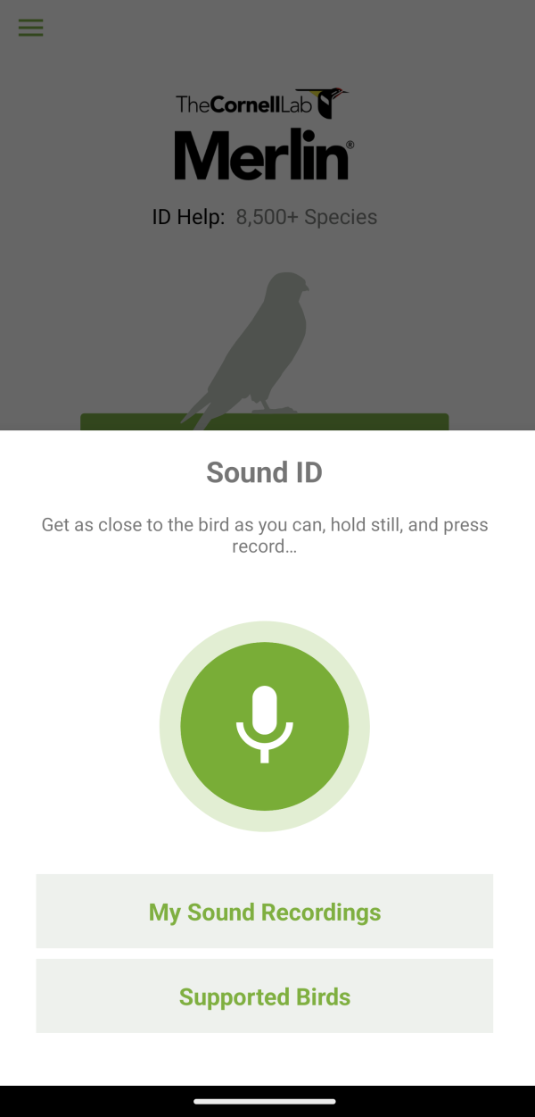 Screenshot Sound ID