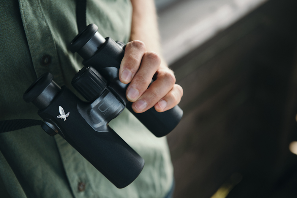 Binoclu Swarovski CL Companion 10x30