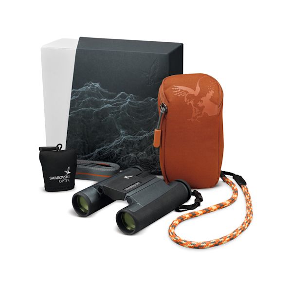 CL Pocket Mountain complete delivery scope ID 991820
