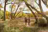 AT/ST Balance B/O - HERO