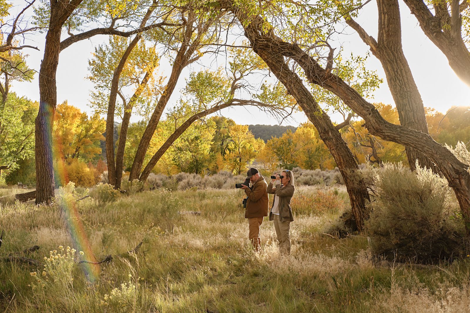 AT/ST Balance B/O - HERO