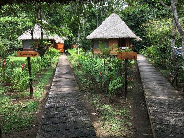 Cabins at Sani Lodge Amazon