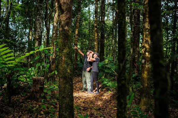 Lilly’s Journey into the Heart of the Forest - B/O - SECOND