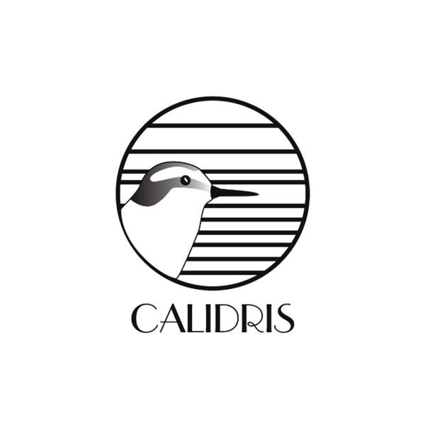 calidris. logo web