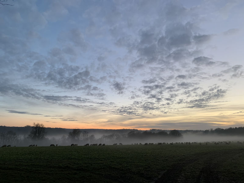 !!!Stunning Landscape on a dog walk by Lara Jackson