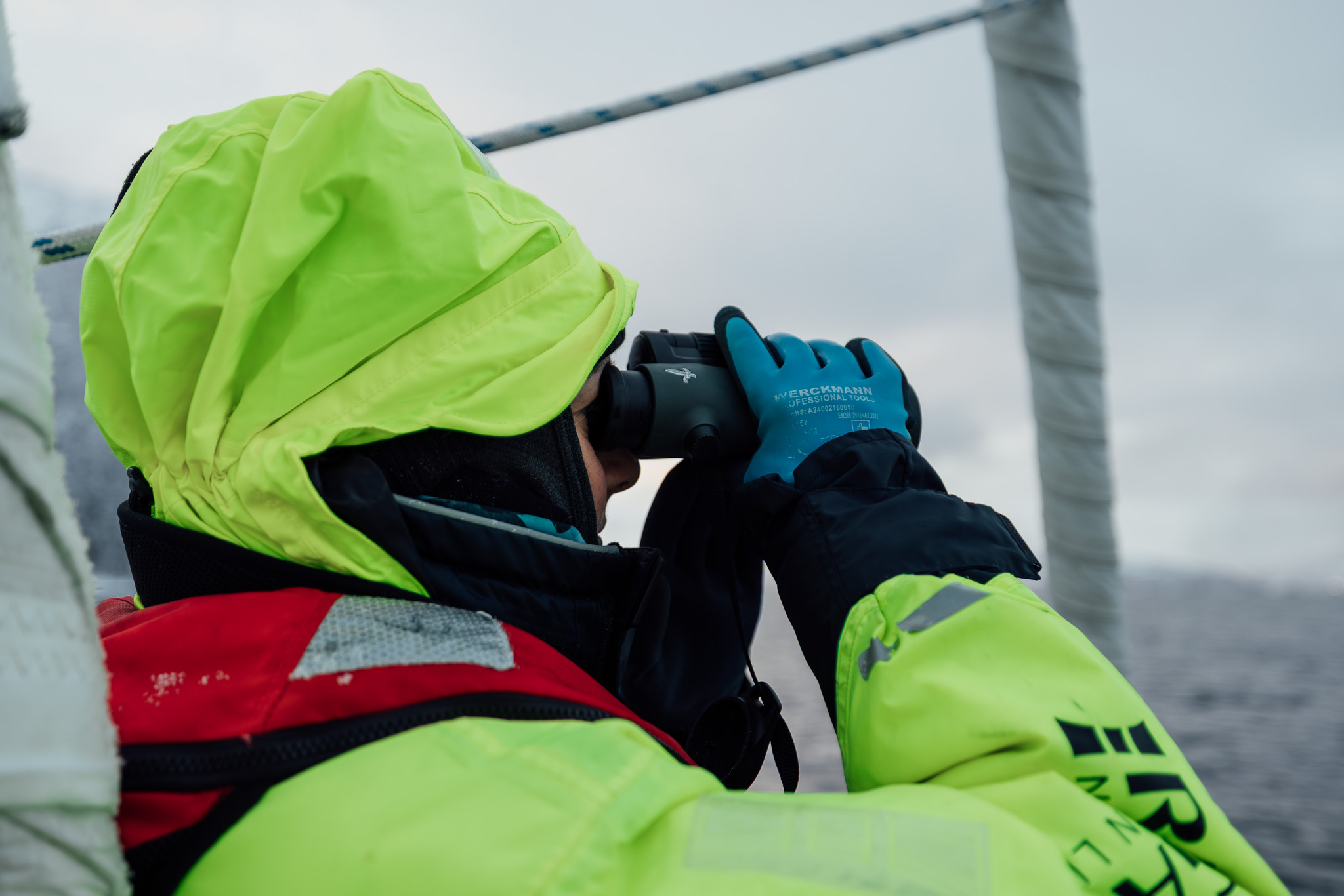 Whale observation for science - Chérine Baumgartner /O - GALLERY ROW 1
