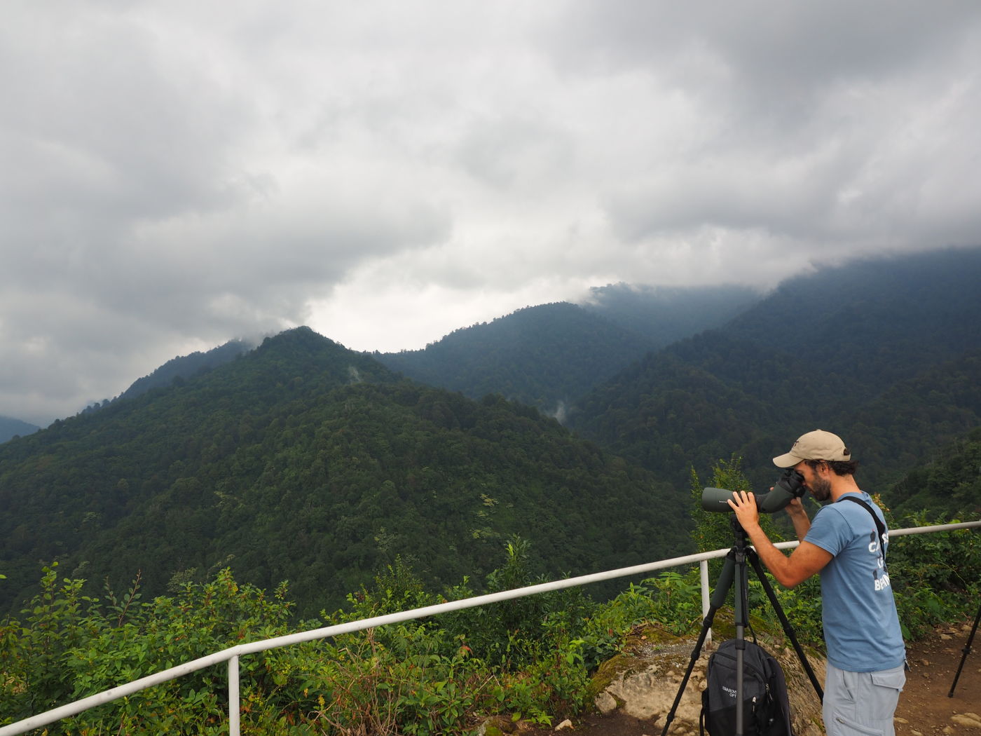 Over one million raptors streaming by - SWAROVSKI OPTIK BTX eyepiece module