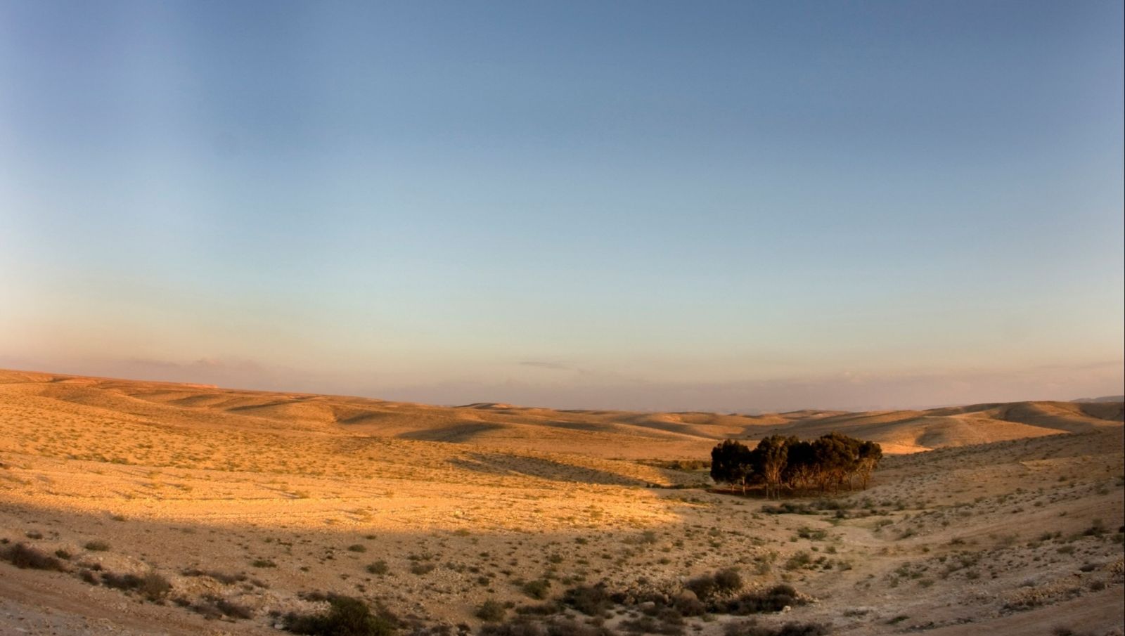 Birding in Nizzana landscape (c) by Jonathan Meyrav