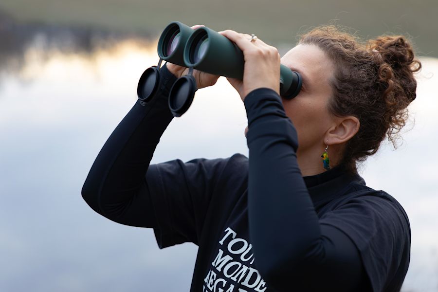 Birdwatching at Conowingo Dam, USA. 