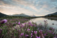 Serene river landscape in northern Canada