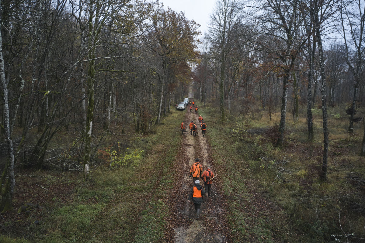 Driven hunt, France (19)