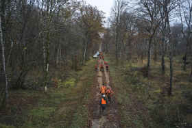 Driven hunt, France (19)