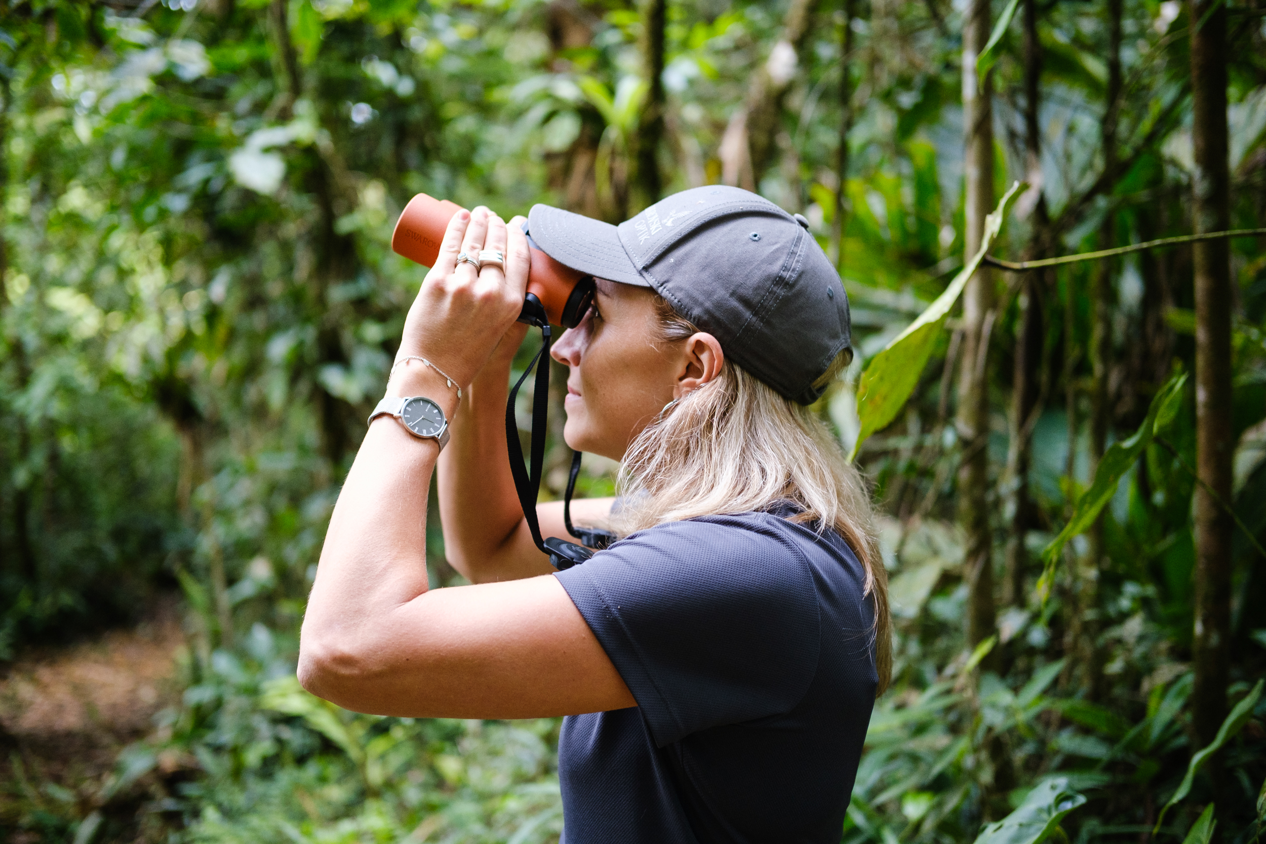 Lilly’s Journey into the Heart of the Forest - B/O - Row 1